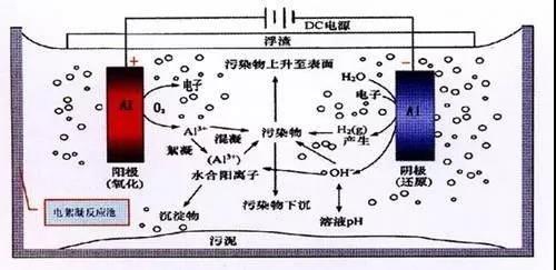 我買(mǎi)了一個(gè)甲醛檢測(cè)儀，吹口氣后發(fā)現(xiàn)原來(lái)我才是“地表最強(qiáng)”污染源！