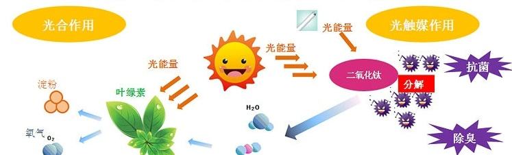 甲醛治理用什么辦法最正確？這三點(diǎn)常見的除甲醛辦法其實(shí)是誤區(qū)