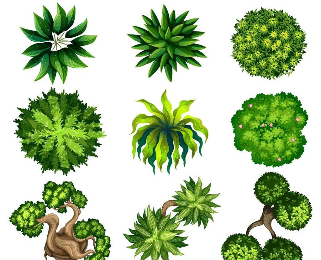 可以凈化室內(nèi)空氣的植物，這二十種您需要好好了解一下！