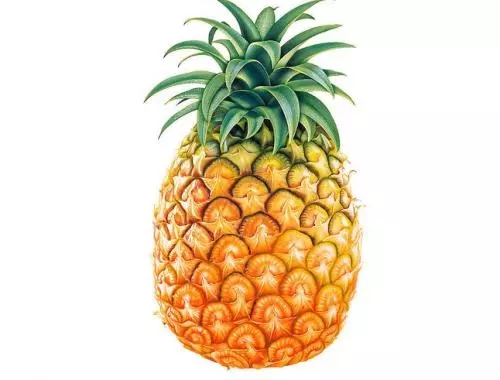 通風(fēng)半年甲醛仍超標(biāo)？甲醛治理要注意