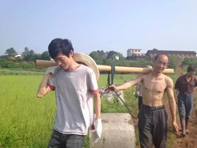 青春是用來奮斗的，除甲醛的青春最美麗！