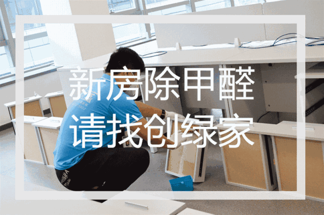 誰說***是多么寂寞，創(chuàng)綠家?guī)惺芟略?00強企業(yè)工作是怎樣的體驗！