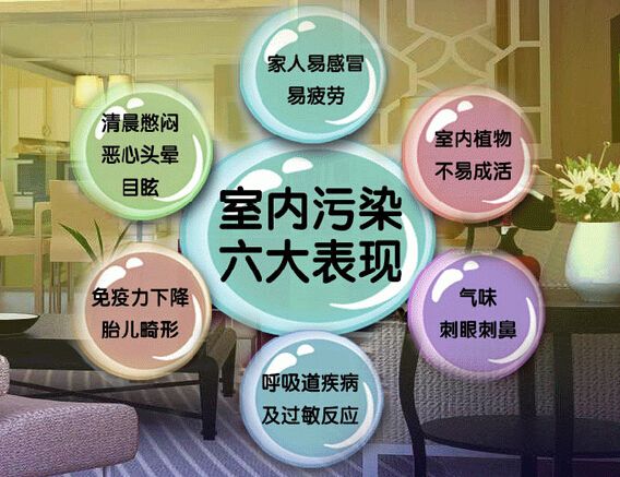 去甲醛加盟怎么樣？三點(diǎn)選址技巧讓您生意火爆