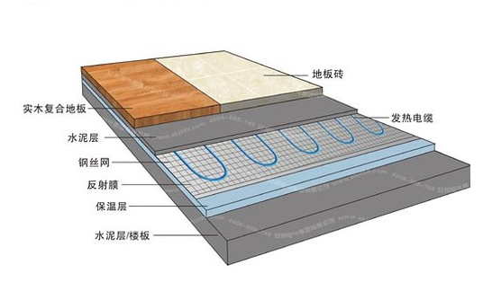 冬季，它們成了甲醛的幫兇