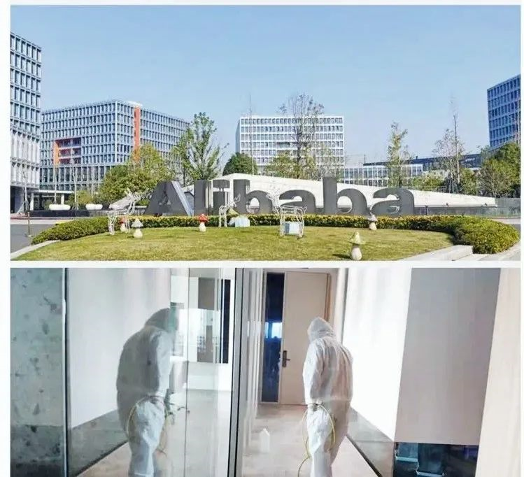 吾志所向，一往無前 | 創(chuàng)綠家2020年大事記