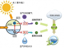 好的光觸媒甲醛治理產(chǎn)品需要具備什么核心？