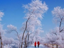 如何解決冬季室內(nèi)和車內(nèi)環(huán)境污染問題的問題呢？