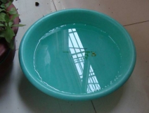 裝修完僅靠兩盆冷水就能除甲醛？這個(gè)說法連網(wǎng)友都出來辟謠！大家別再相信了！