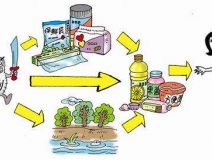 食品中有塑化劑嗎？這些食品中含有大量塑化劑，食用時(shí)一定要注意！