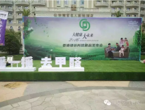 創(chuàng)綠家環(huán)保科技“搖一搖 除甲醛”魔球全國健康快消品經(jīng)銷大會！