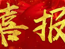 搖一搖除甲醛魔球被評定為省級工業(yè)新產(chǎn)品（新技術)
