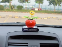 新車除醛，車內(nèi)除甲醛什么辦法最好？