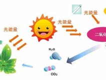 家中甲醛超標(biāo)，什么才是甲醛治理的正確姿勢(shì)？