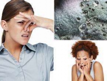 家里有異味怎么辦？科學(xué)除味、治理甲醛就對(duì)了！