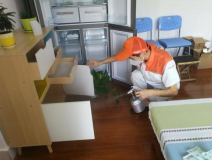 除甲醛公司是否靠譜？靠譜的公司有哪些特點(diǎn)？