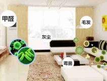 網上的除甲醛好辦法真的有效嗎？原理是什么