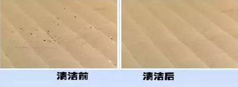 南京美女睡了10年的床墊，掀開后把全家人都嚇傻了……