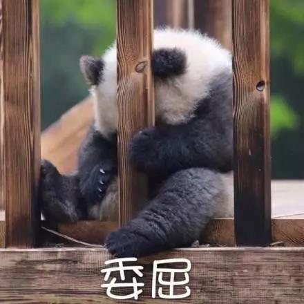 別大意！七大除甲醛“誤區(qū)”，信了你反而會生??！通風、綠植、活性炭、熏蒸……你中招了嗎？