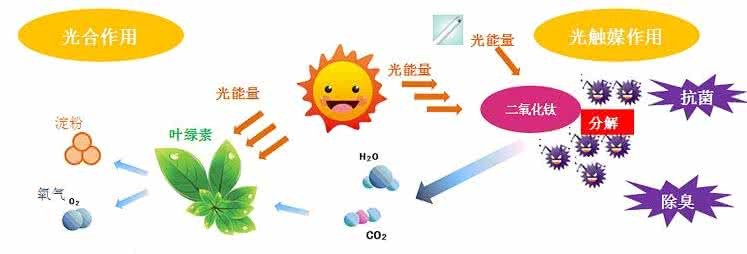 家中甲醛超標(biāo)，什么才是甲醛治理的正確姿勢(shì)？
